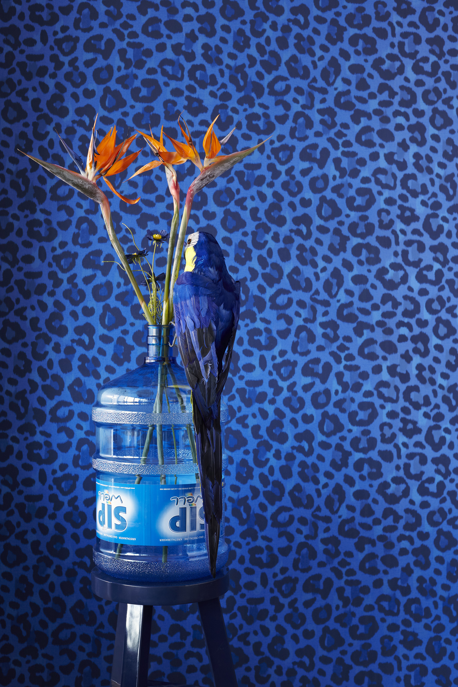 Deep Blue Exotic Leopard Wallpaper from Ibiza
